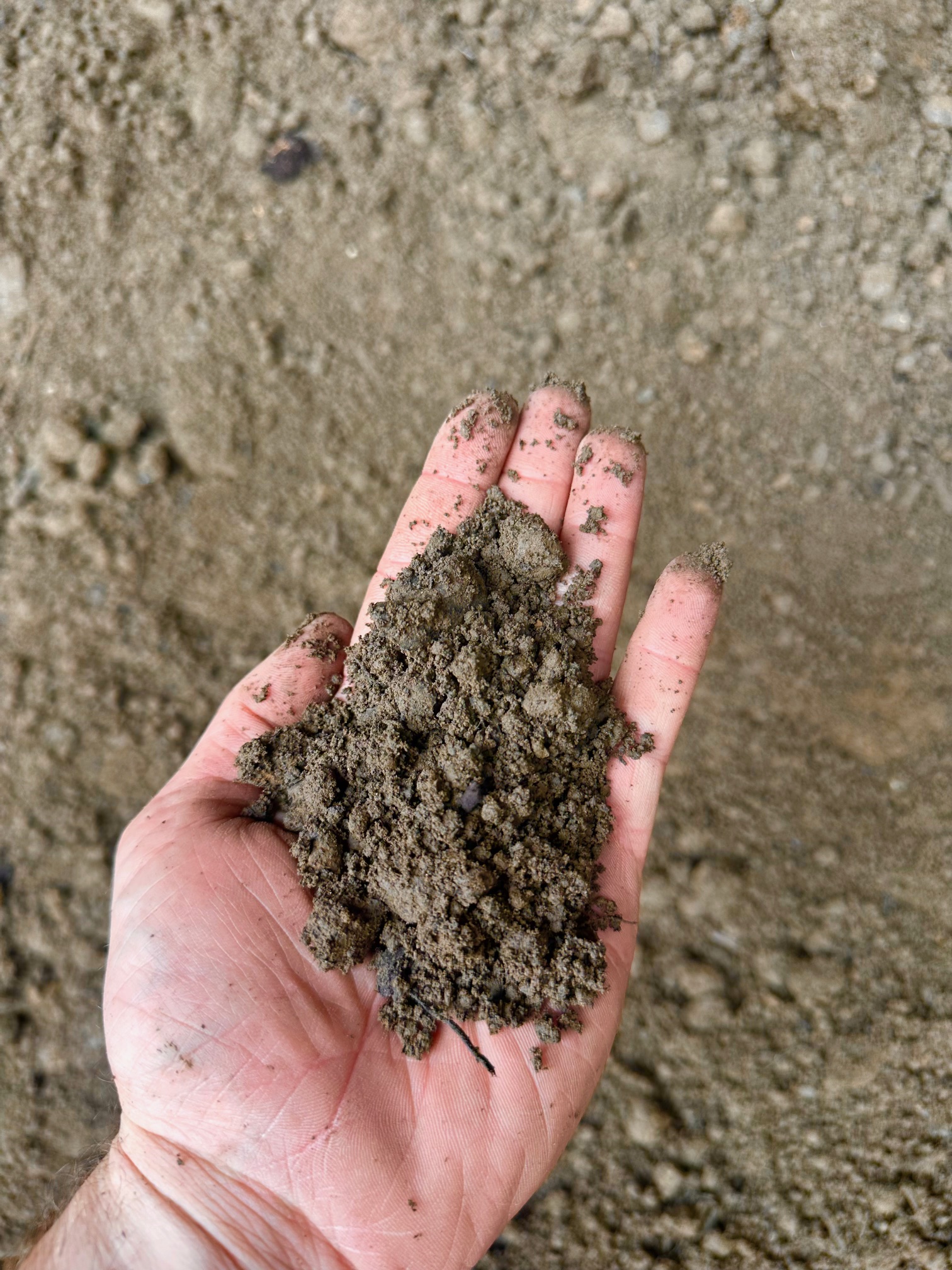 https://threez.infiaglobal.com/storage/photos/1/Products/Soil/toposil/TOP SOIL 2.jpg